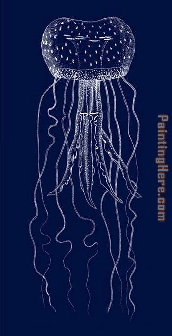 Jellyfish